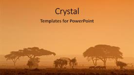  Presentation with african sunset - Slide set having zebras amboseli national park kenya background and a gold colored foreground