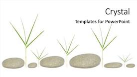  Presentation with zen - Presentation theme with zen abstract of bamboo leaf grass and six gray pebbles over white background background and a white colored foreground