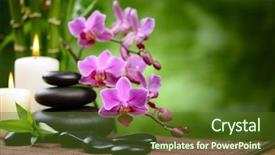  Presentation with zen stones - Presentation design featuring zen basalt stones and bamboo background and a tawny brown colored foreground