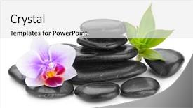  Presentation with zen stones - Slides having zen basalt stones and bamboo background and a white colored foreground
