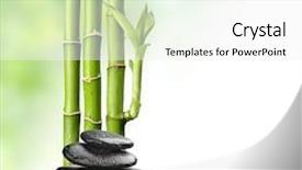  Presentation with zen stones - Slides consisting of zen-basalt-stones-and-bamboo background and a white colored foreground