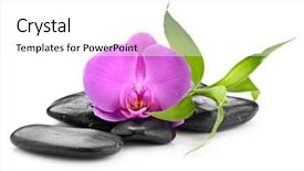  Presentation with spirituality zen meditation stone - Slide deck enhanced with zen basalt stones and bamboo background and a white colored foreground