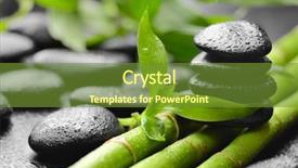  Presentation with lucky bamboo - PPT layouts featuring zen basalt stones and bamboo background and a tawny brown colored foreground