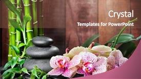  Presentation with zen stones - Amazing PPT theme having zen basalt stones and bamboo backdrop and a violet colored foreground