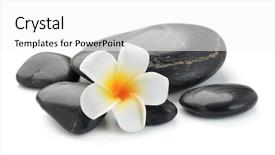  Presentation with zen stones - Cool new presentation design with zen basalt stones and frangipani backdrop and a white colored foreground
