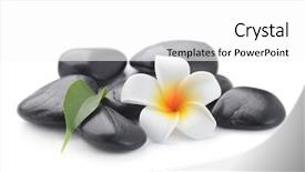  Presentation with spirituality zen meditation stone - Colorful slide deck enhanced with zen basalt stones and frangipani backdrop and a white colored foreground