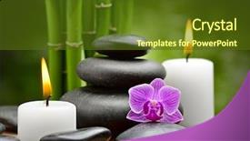  Presentation with zen stones - Amazing presentation having group of young business people in the modern office viewed from above backdrop and a light gray colored foreground