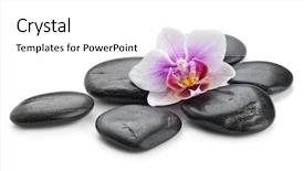  Presentation with zen stones - Audience pleasing PPT layouts consisting of zen basalt stones and orchid backdrop and a white colored foreground