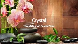  Presentation with zen stones - Theme consisting of zen basalt stones and orchid background and a  colored foreground