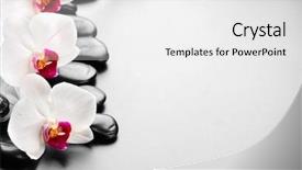  Presentation with zen stones - Slide set featuring zen basalt stones and orchid background and a white colored foreground