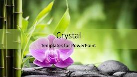  Presentation with zen stones - Amazing PPT theme having zen basalt stones orchid backdrop and a yellow colored foreground