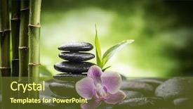  Presentation with zen stones - Cool new presentation design with zen basalt stones orchid backdrop and a tawny brown colored foreground