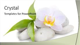  Presentation with zen stones - Colorful slide set enhanced with zen basalt stones orchid backdrop and a white colored foreground