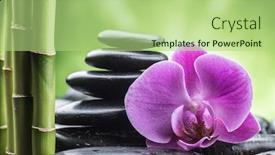  Presentation with spirituality zen meditation stone - Colorful slides enhanced with zen basalt stones orchid and bamboo backdrop and a mint green colored foreground