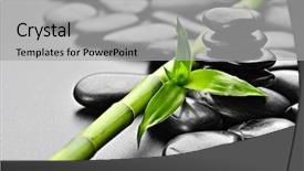  Presentation with zen stones - Beautiful slide deck featuring sale retail label stamp brand backdrop and a mint green colored foreground