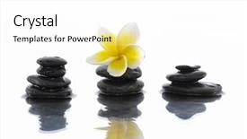  Presentation with zen stones - PPT theme featuring zen black stones and frangipani background and a white colored foreground