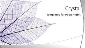  Presentation with skeleton - Audience pleasing presentation theme consisting of zen buddhism - blue toned leaf skeleton backdrop and a  colored foreground