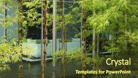  Presentation with water bamboo - PPT layouts featuring zen decor home with bamboo background and a tawny brown colored foreground