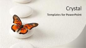  Presentation with rocks - Presentation consisting of zen garden - background with rocks and butterfly background and a sky blue colored foreground