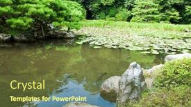  Presentation with kyoto zen - Amazing slides having lotus leaves and a pond backdrop and a tawny brown colored foreground