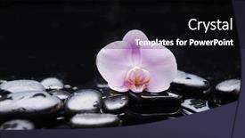  Presentation with pink black - Colorful slide set enhanced with zen-lifestyle-pile-of-zen backdrop and a black colored foreground