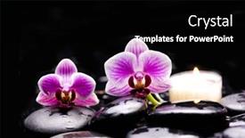  Presentation with pink black - Cool new PPT layouts with zen-lifestyle-pile-of-zen backdrop and a black colored foreground