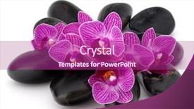  Presentation with spa concept stone - Beautiful PPT layouts featuring zen pebbles and orchid flower backdrop and a violet colored foreground