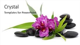  Presentation with spa concept stone - Beautiful slide set featuring zen pebbles and orchid flower stone spa and healthcare concept backdrop and a white colored foreground