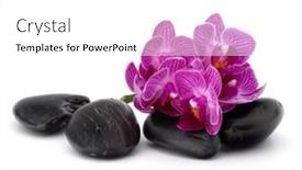  Presentation with spa concept stone - Presentation design having zen pebbles and orchid flower stone spa and healthcare concept background and a white colored foreground