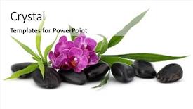  Presentation with spa concept stone - Audience pleasing PPT theme consisting of stone spa and healthcare concept backdrop and a white colored foreground