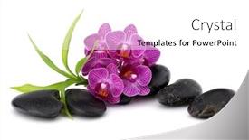  Presentation with spa concept stone - Slides with zen pebbles and orchid flower stone spa and healthcare concept background and a white colored foreground