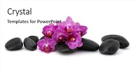  Presentation with spa concept stone - Slides featuring zen pebbles and orchid flower stone spa and healthcare concept background and a white colored foreground