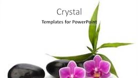  Presentation with zen - Presentation theme with zen pebbles path spa and healthcare concept background and a white colored foreground