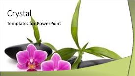  Presentation with zen - Cool new PPT theme with zen pebbles path spa and healthcare concept backdrop and a white colored foreground