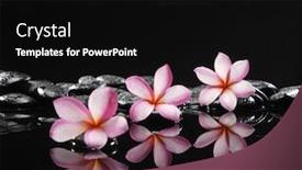  Presentation with spa concept stone - Beautiful presentation featuring zen-pebbles-stone-spa backdrop and a black colored foreground