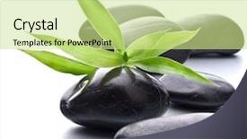  Presentation with spa concept stone - Audience pleasing presentation consisting of zen pebbles stone spa and healthcare concept backdrop and a soft green colored foreground