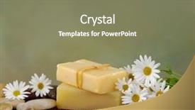  Presentation with zen - Colorful presentation theme enhanced with zen rock and soap daisy on mat backdrop and a violet colored foreground