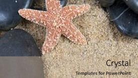  Presentation with shells - Colorful slide deck enhanced with zen spa river rocks and shells on sand in form of border backdrop and a mint green colored foreground