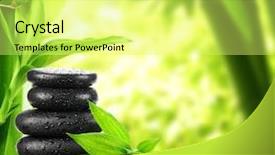  Presentation with zen stone - Amazing PPT layouts having zen stone and bamboo backdrop and a yellow colored foreground