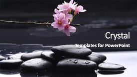  Presentation with zen stone - Beautiful presentation theme featuring spa meditation - zen stone and spring cherry backdrop and a dark gray colored foreground