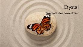  Presentation with zen stone - Amazing presentation theme having zen stone with butterfly backdrop and a soft green colored foreground