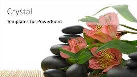  Presentation with zen - 