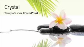  Presentation with zen - Audience pleasing presentation consisting of zen stones and frangipani backdrop and a blonde colored foreground