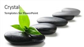  Presentation with zen stones - Audience pleasing slides consisting of zen stones and green bamboo backdrop and a white colored foreground