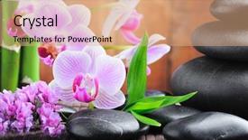  Presentation with zen - PPT theme featuring zen stones and orchid background and a  colored foreground