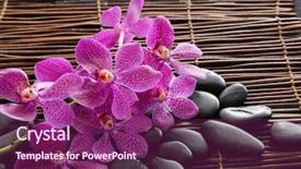  Presentation with zen stones - Beautiful PPT layouts featuring zen stones on bamboo mat backdrop and a violet colored foreground