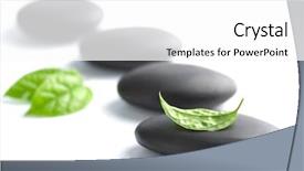  Presentation with spa stones leaves - Beautiful slides featuring zen stones with leaves isolated backdrop and a white colored foreground