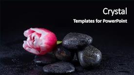  Presentation with spirituality zen meditation stone - Slide deck having zen stones with tulip flower background and a black colored foreground