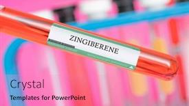  Presentation with plants - PPT theme enhanced with zingiberene-a-pheromone-produced background and a coral colored foreground