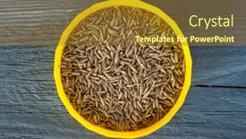  Presentation with cumin cumin cumin - PPT theme with zira-cumin-close-up background and a gold colored foreground